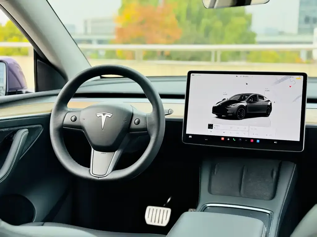 Tesla Model Y — фото 8