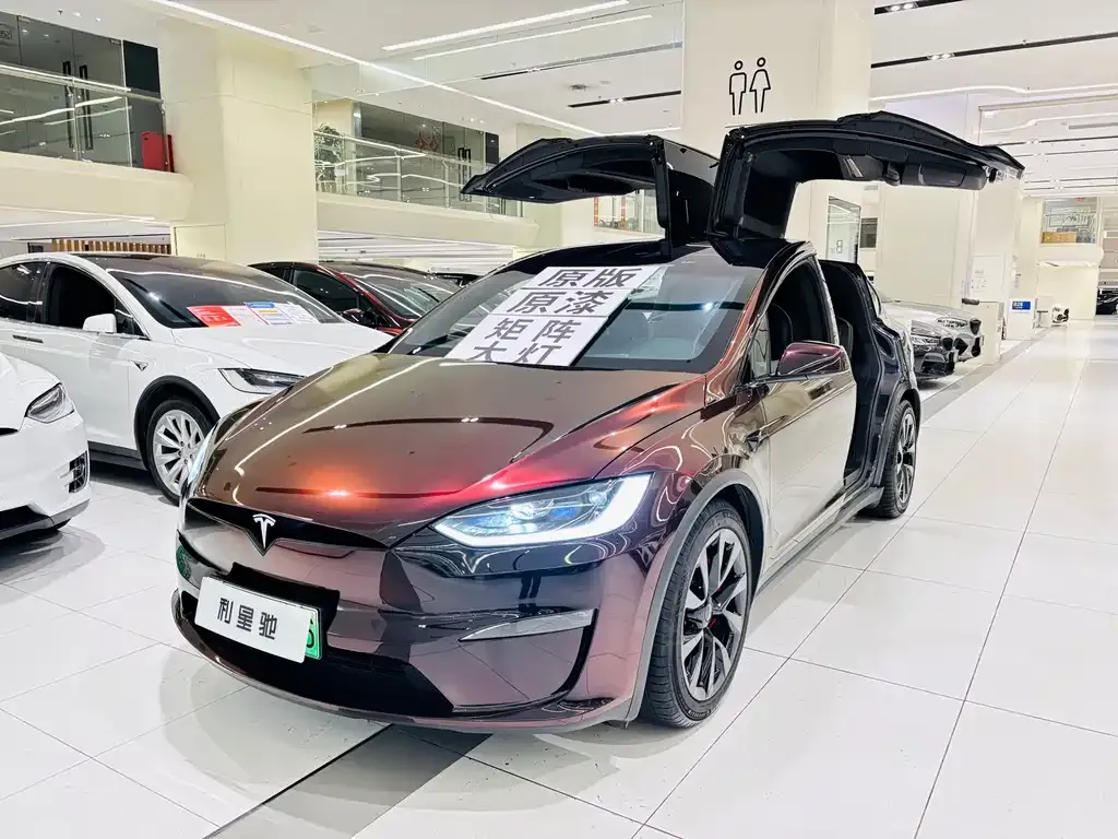 Tesla Model X — фото 1