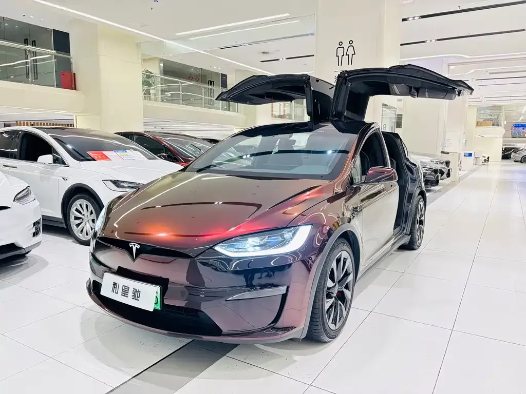 Tesla Model X — фото 2