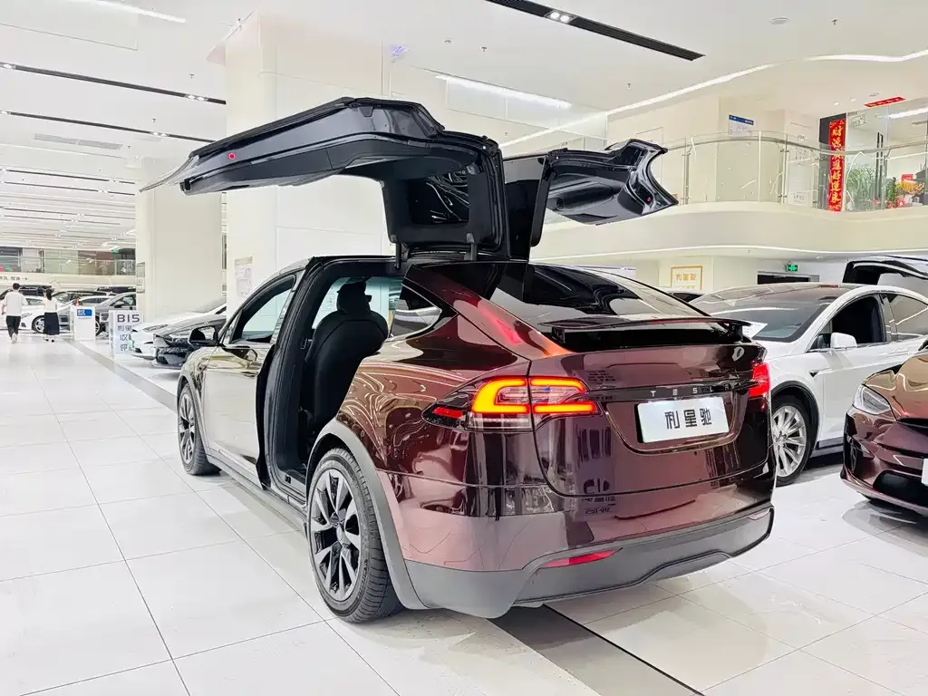 Tesla Model X — фото 4