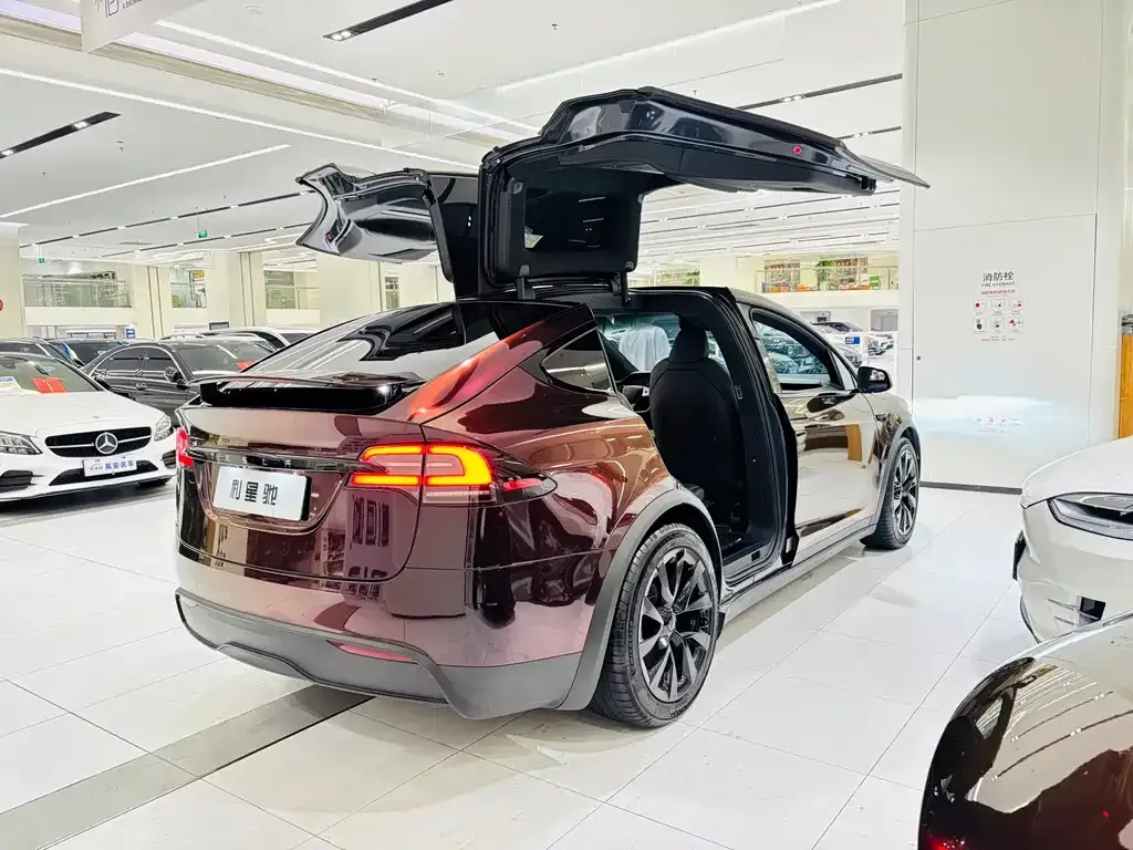 Tesla Model X — фото 5