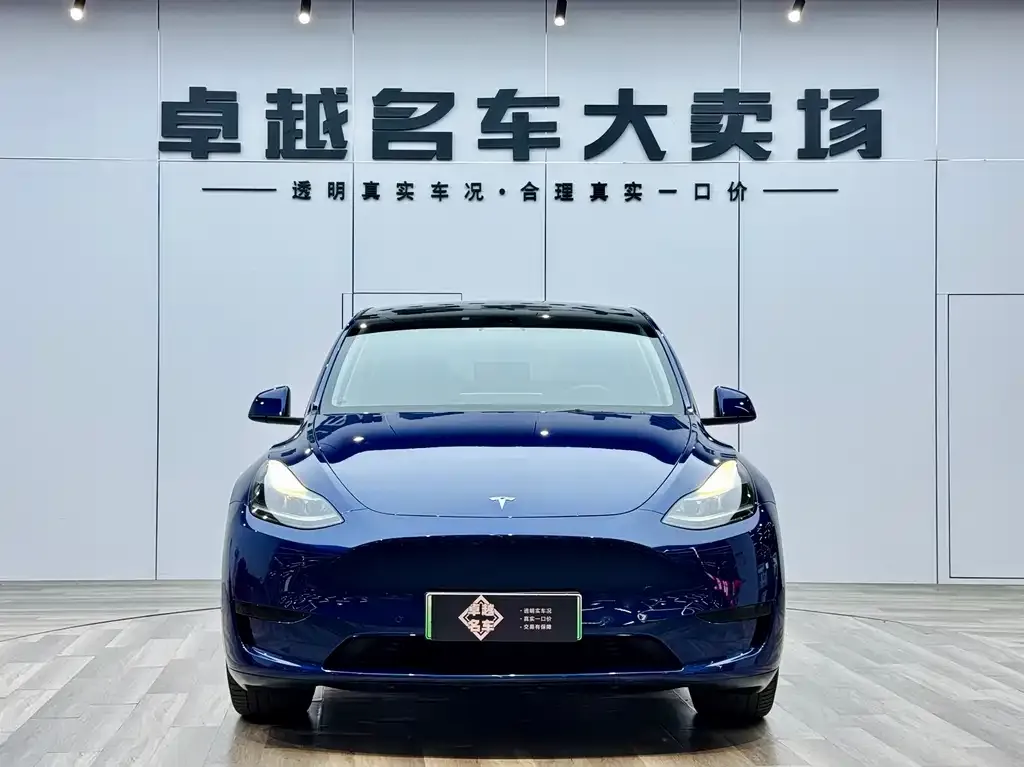 Tesla Model Y — фото 2