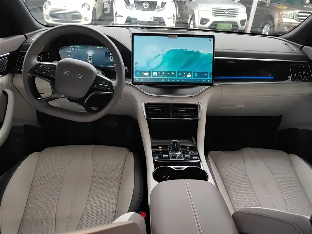 BYD PLUS New Energy — фото 10