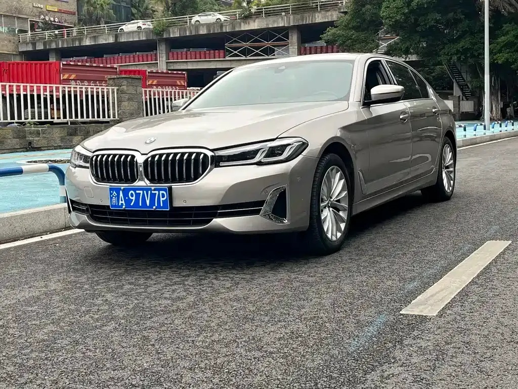 BMW 5 Series 2022 из CN, фото 1