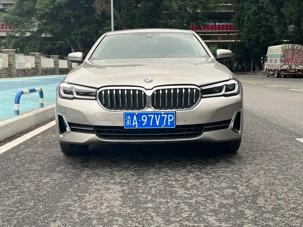 BMW 5 Series 2022 из CN, фото 2