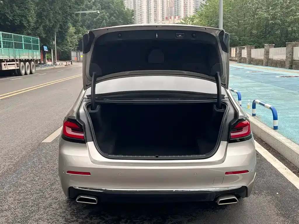 BMW 5 Series 2022 из CN, фото 7