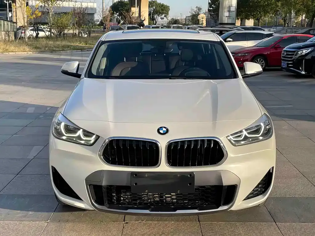 BMW X2 2021 из CN, фото 2