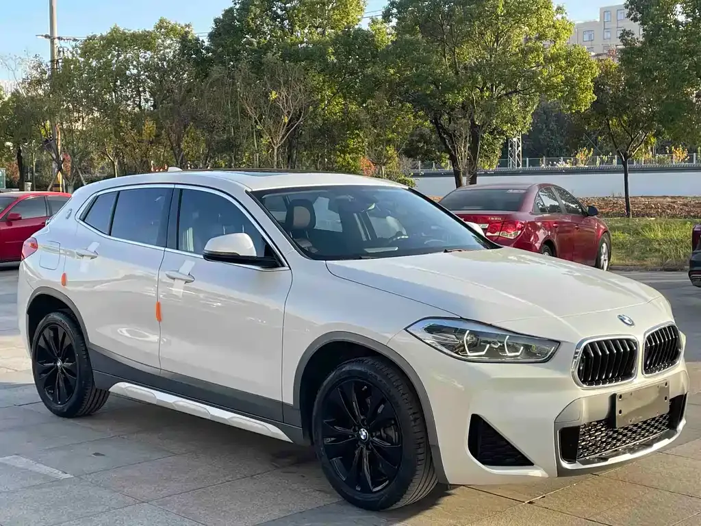 BMW X2 2021 из CN, фото 3