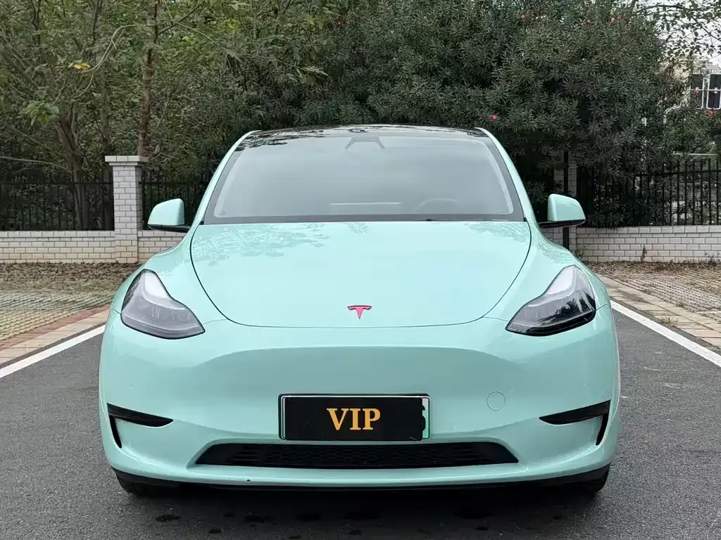 Tesla Model Y — фото 2