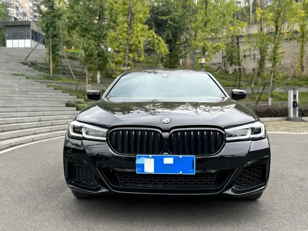 BMW 5 Series 2021 из CN, фото 2