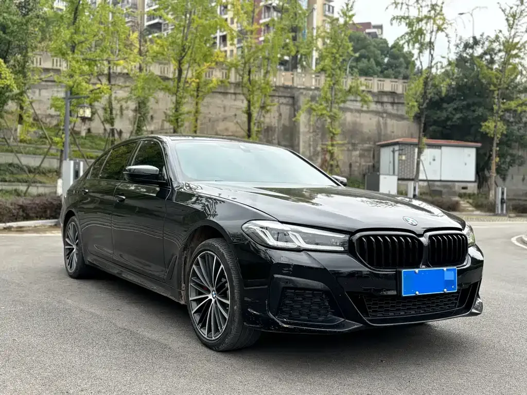 BMW 5 Series 2021 из CN, фото 3