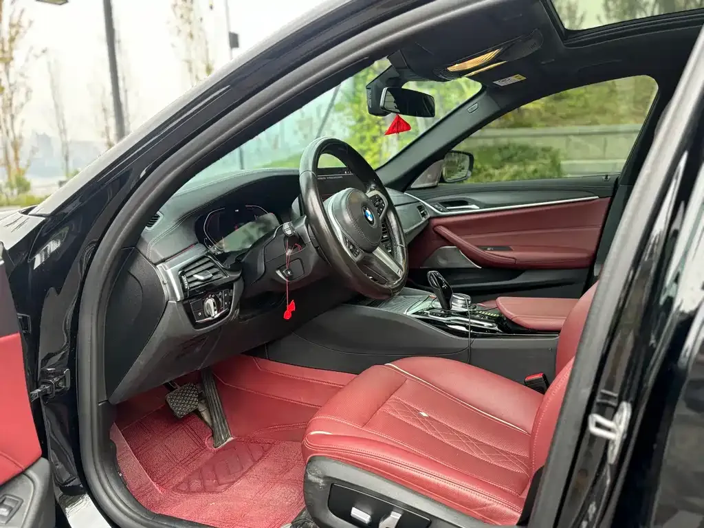 BMW 5 Series 2021 из CN, фото 4