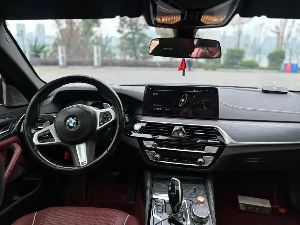 BMW 5 Series 2021 из CN, фото 5