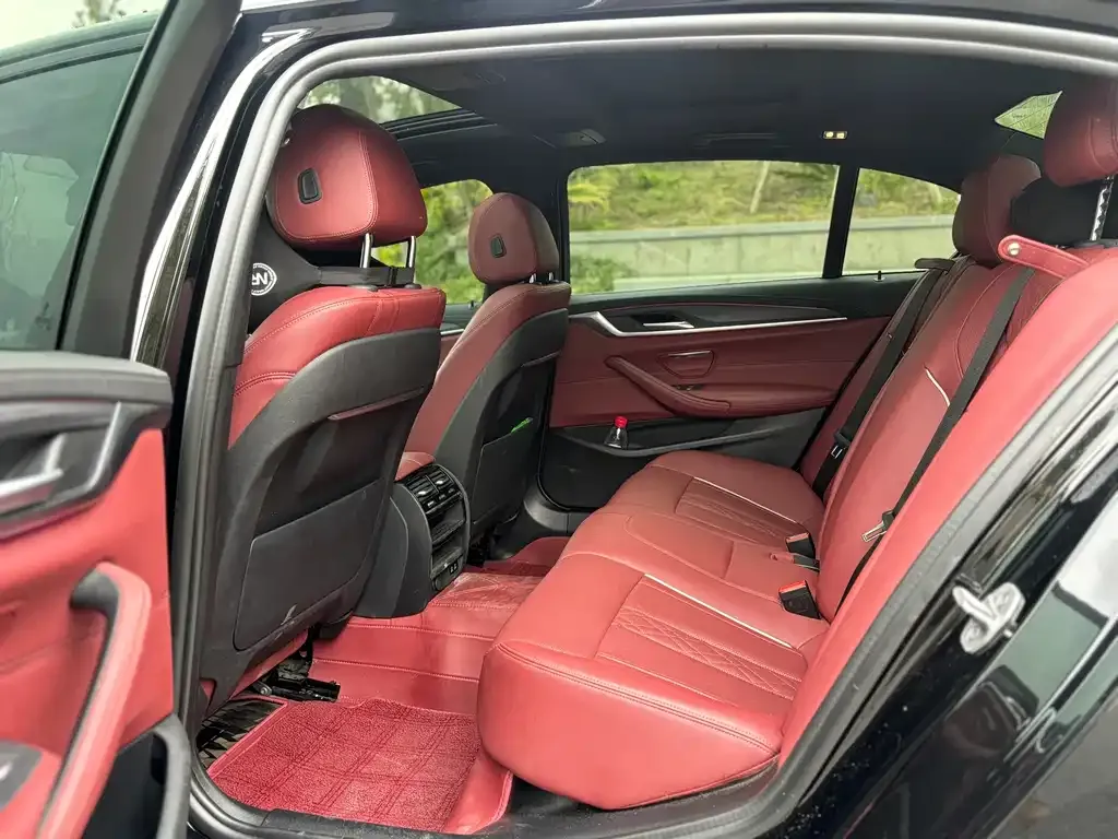 BMW 5 Series 2021 из CN, фото 6