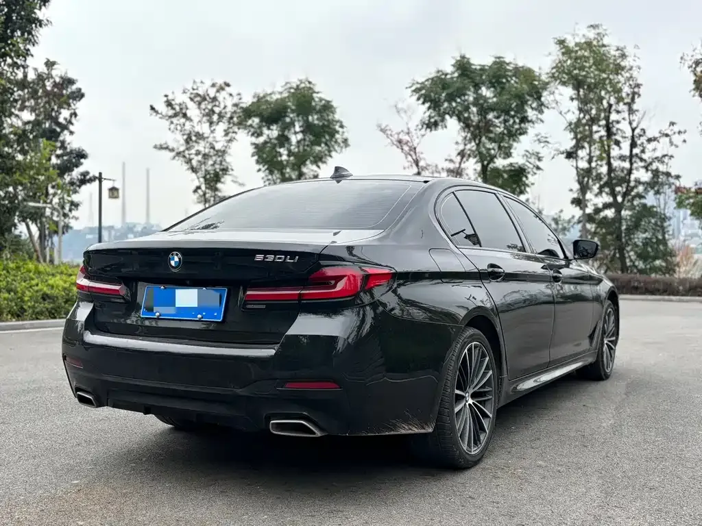 BMW 5 Series 2021 из CN, фото 7