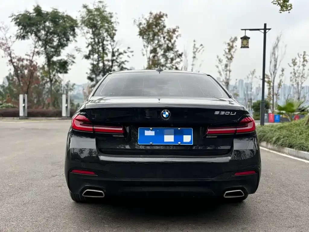 BMW 5 Series 2021 из CN, фото 8