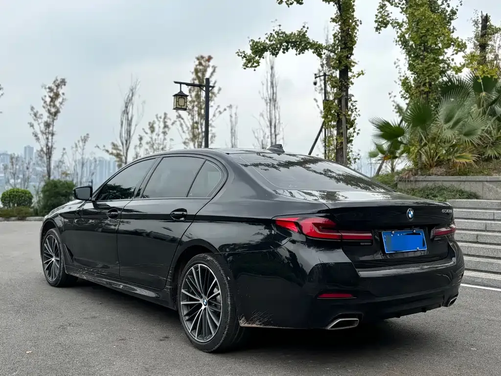 BMW 5 Series 2021 из CN, фото 9