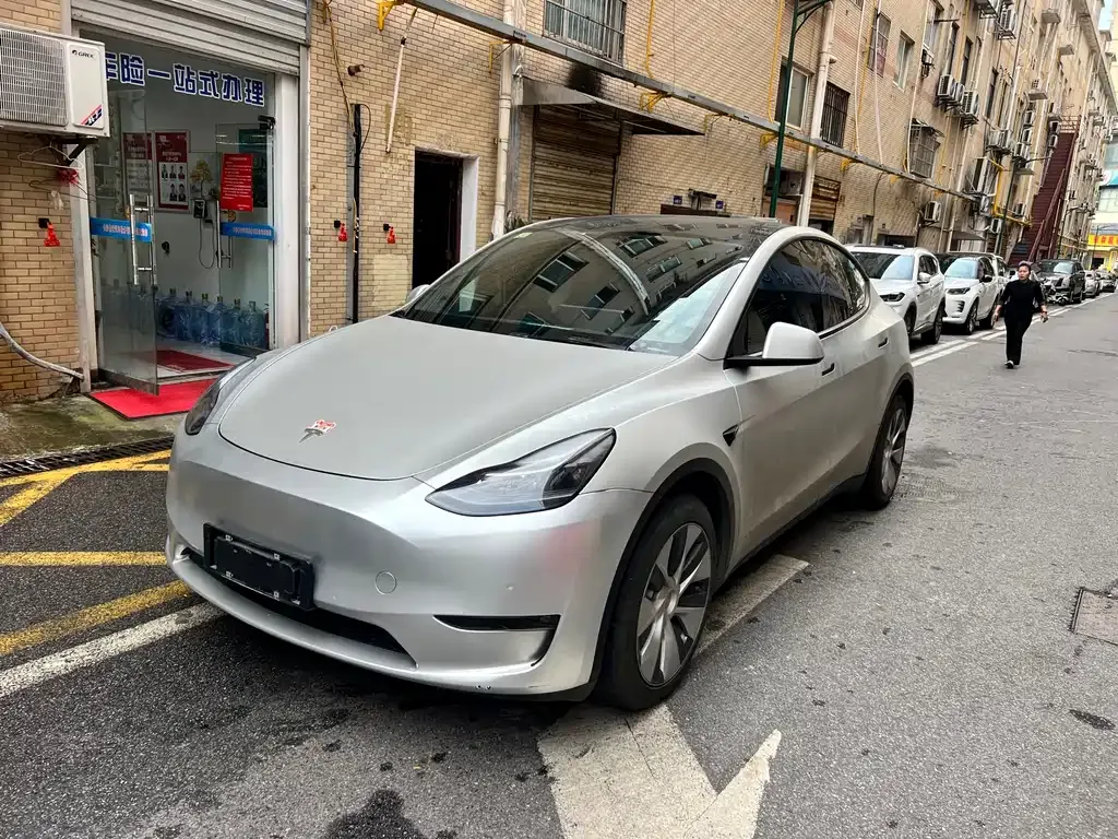 Tesla Model Y 2021 из CN, фото 1