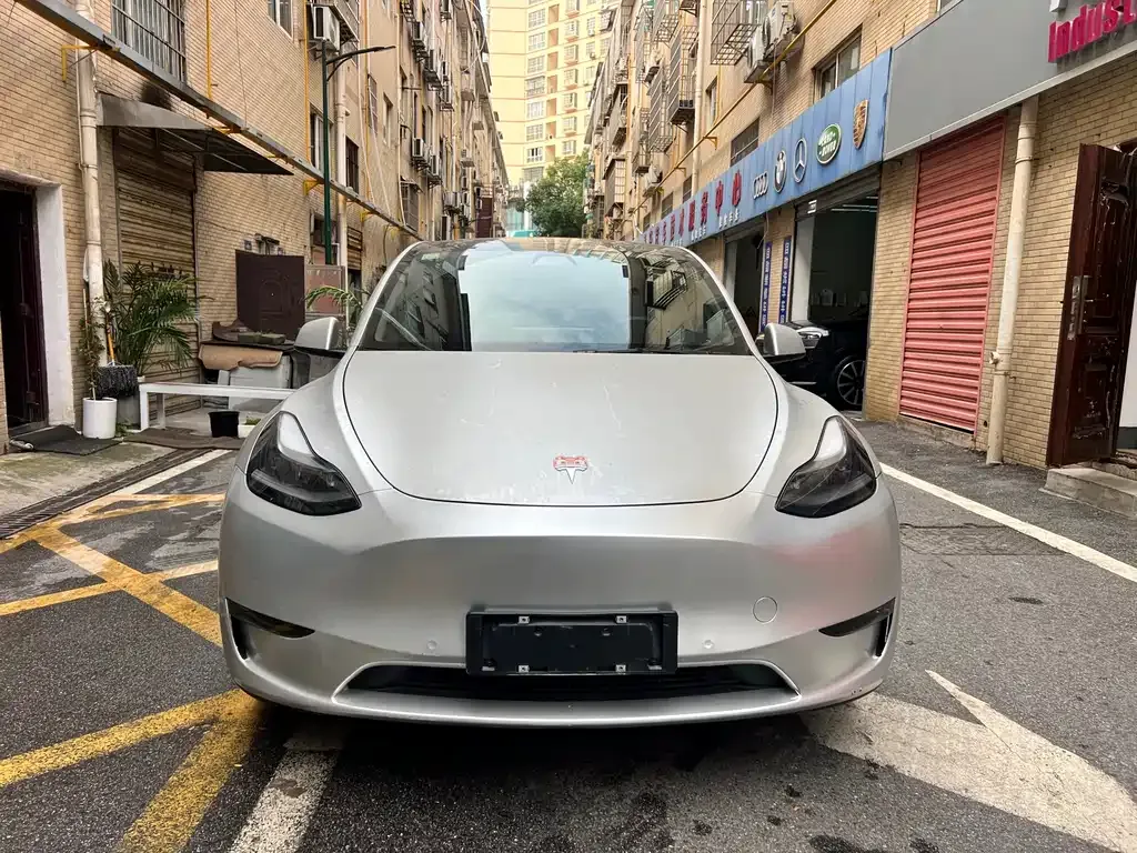 Tesla Model Y 2021 из CN, фото 2