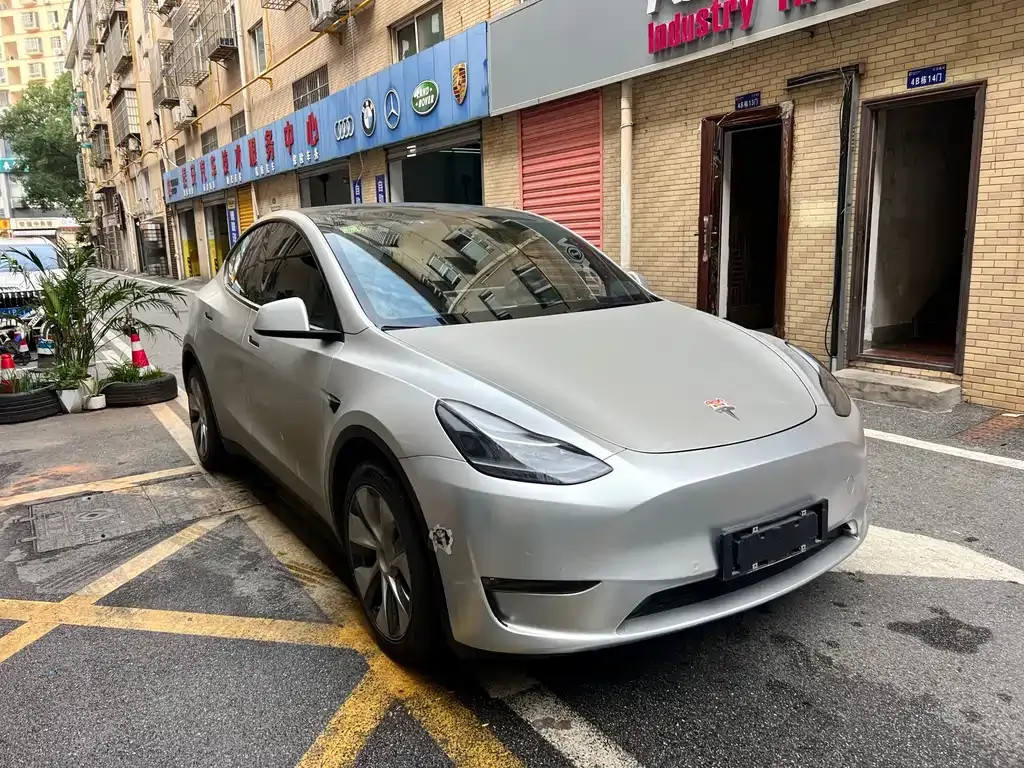 Tesla Model Y 2021 из CN, фото 3