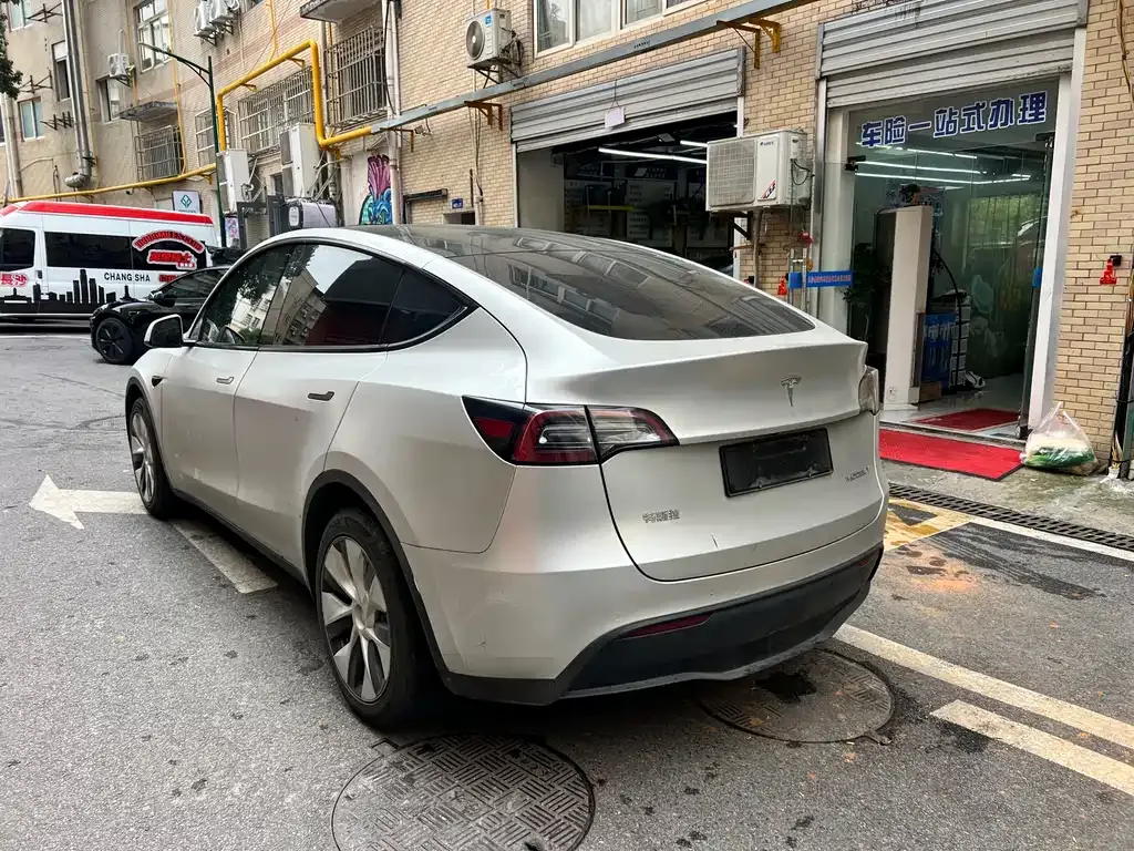 Tesla Model Y 2021 из CN, фото 4