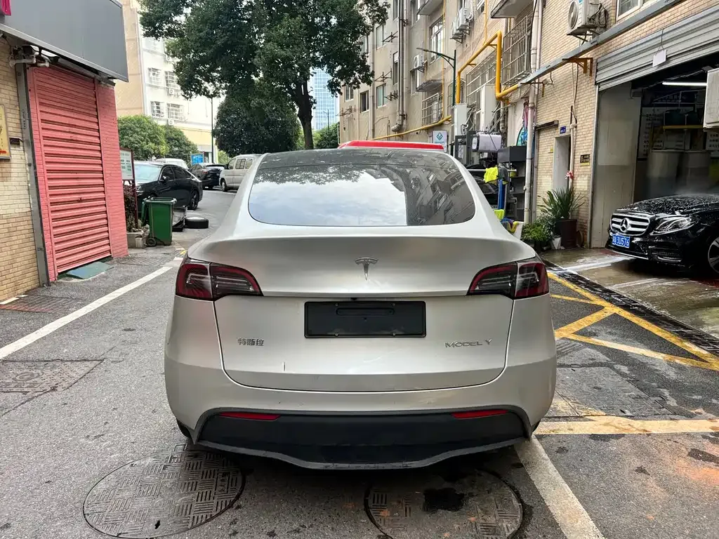 Tesla Model Y 2021 из CN, фото 5