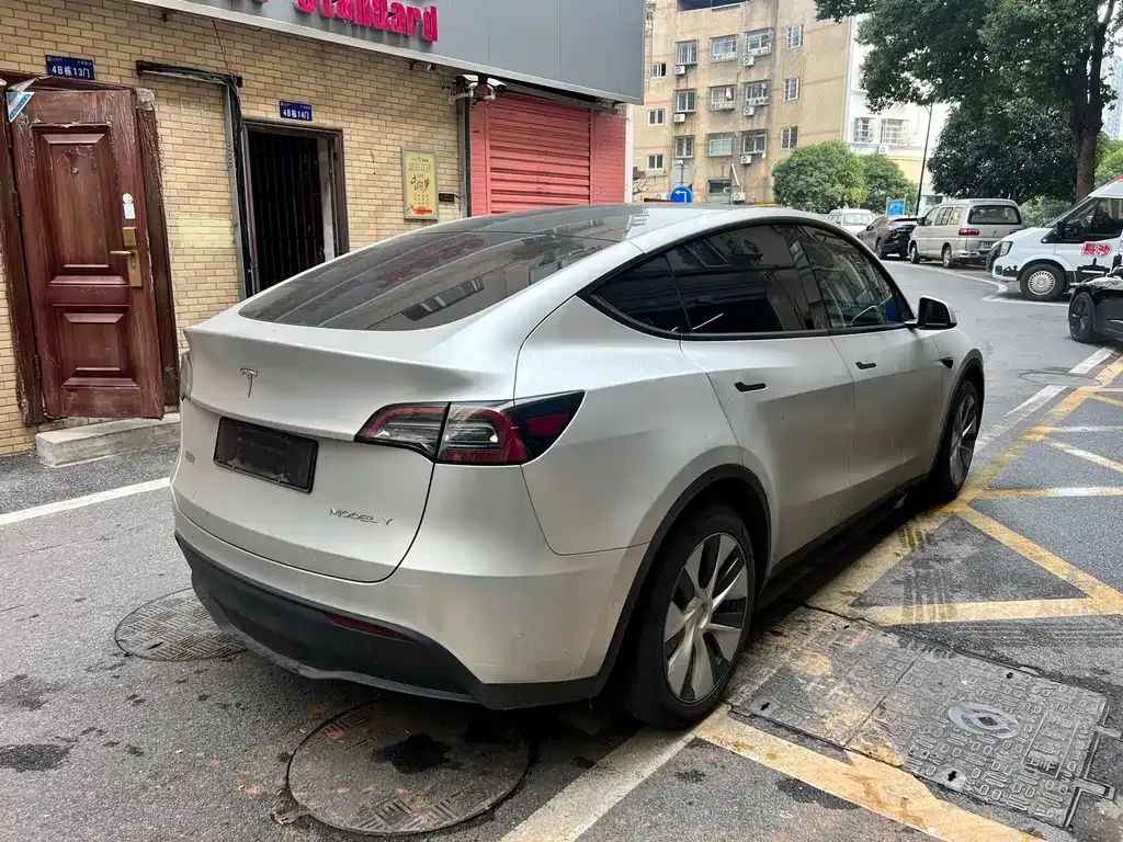 Tesla Model Y 2021 из CN, фото 6