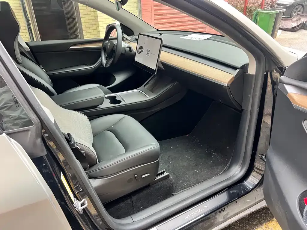 Tesla Model Y 2021 из CN, фото 9