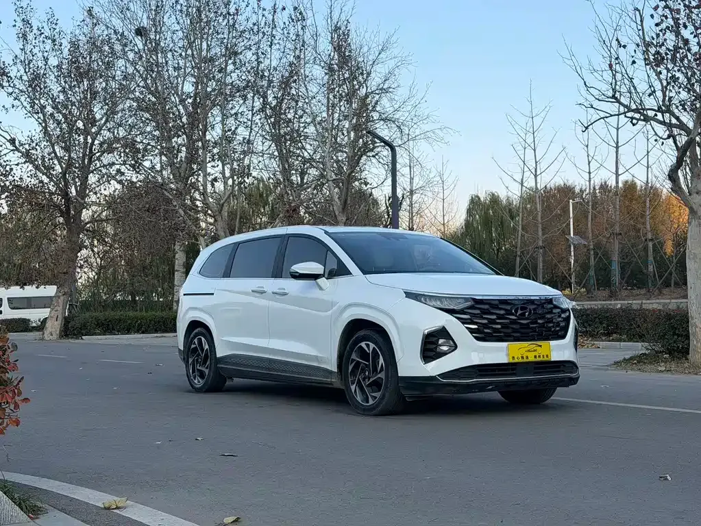 Hyundai Custo — фото 3