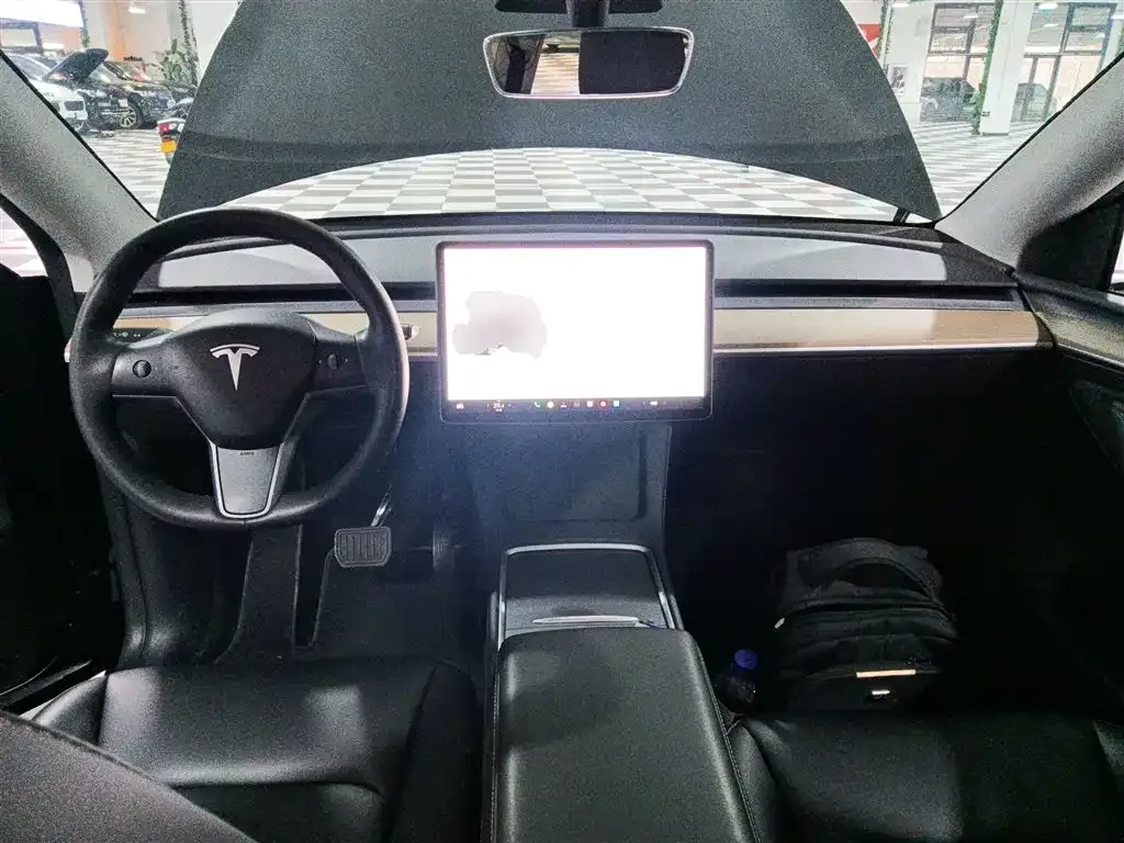 [object Object] Model Y 2021 из CN, фото 10