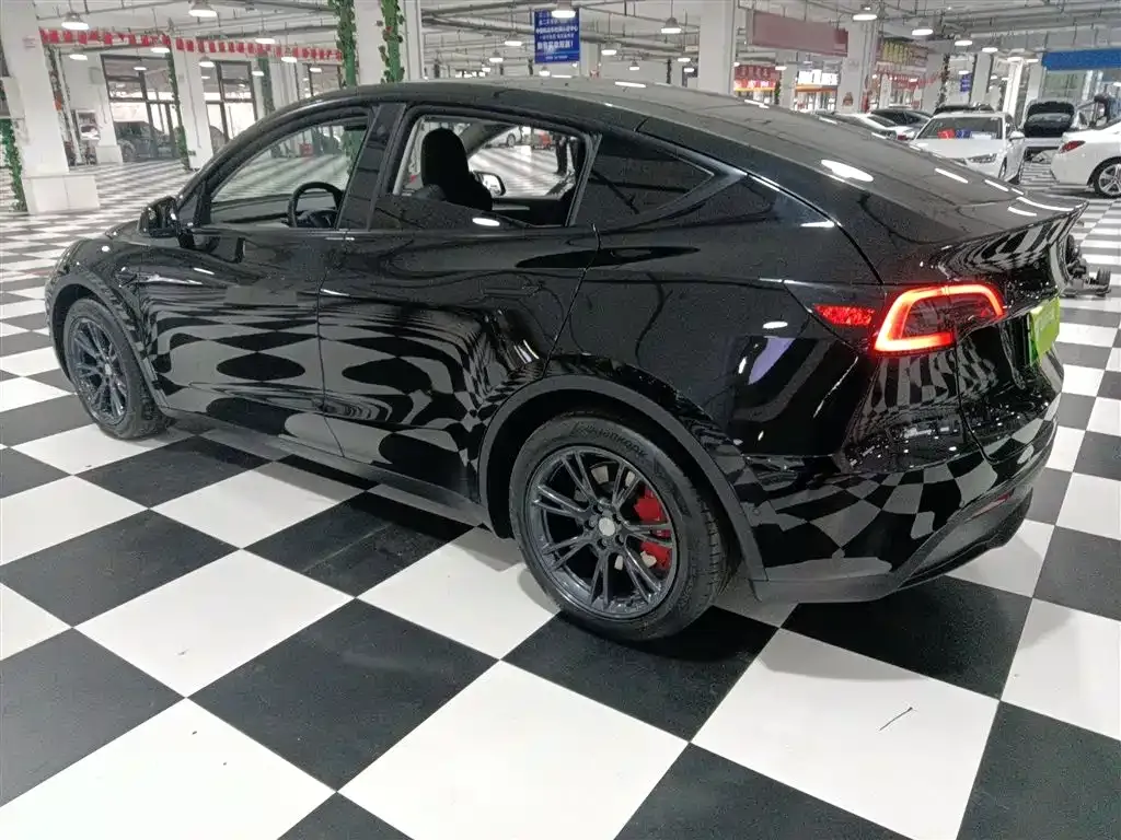 [object Object] Model Y 2021 из CN, фото 5