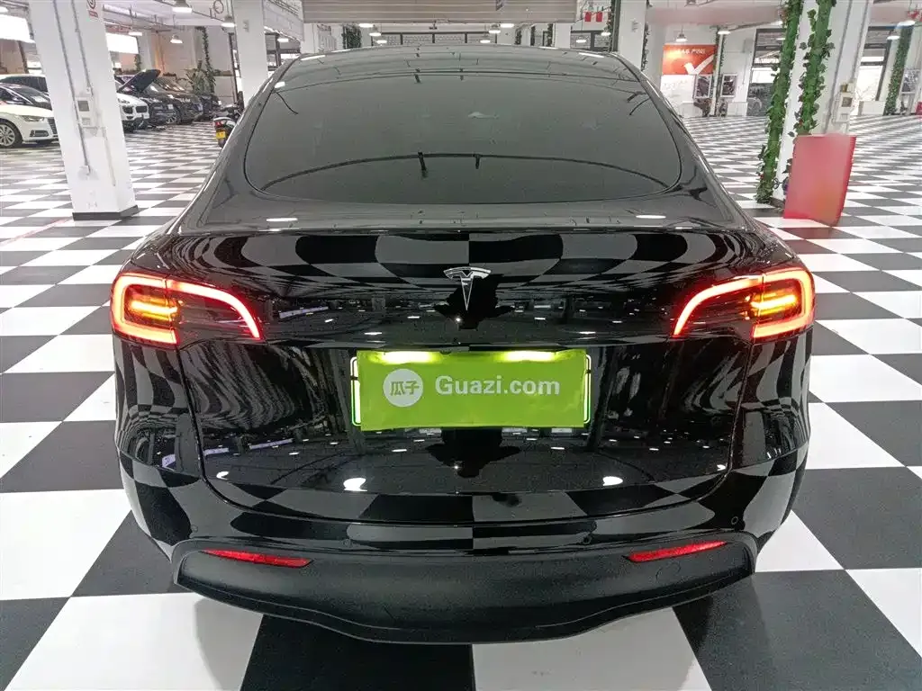 [object Object] Model Y 2021 из CN, фото 6