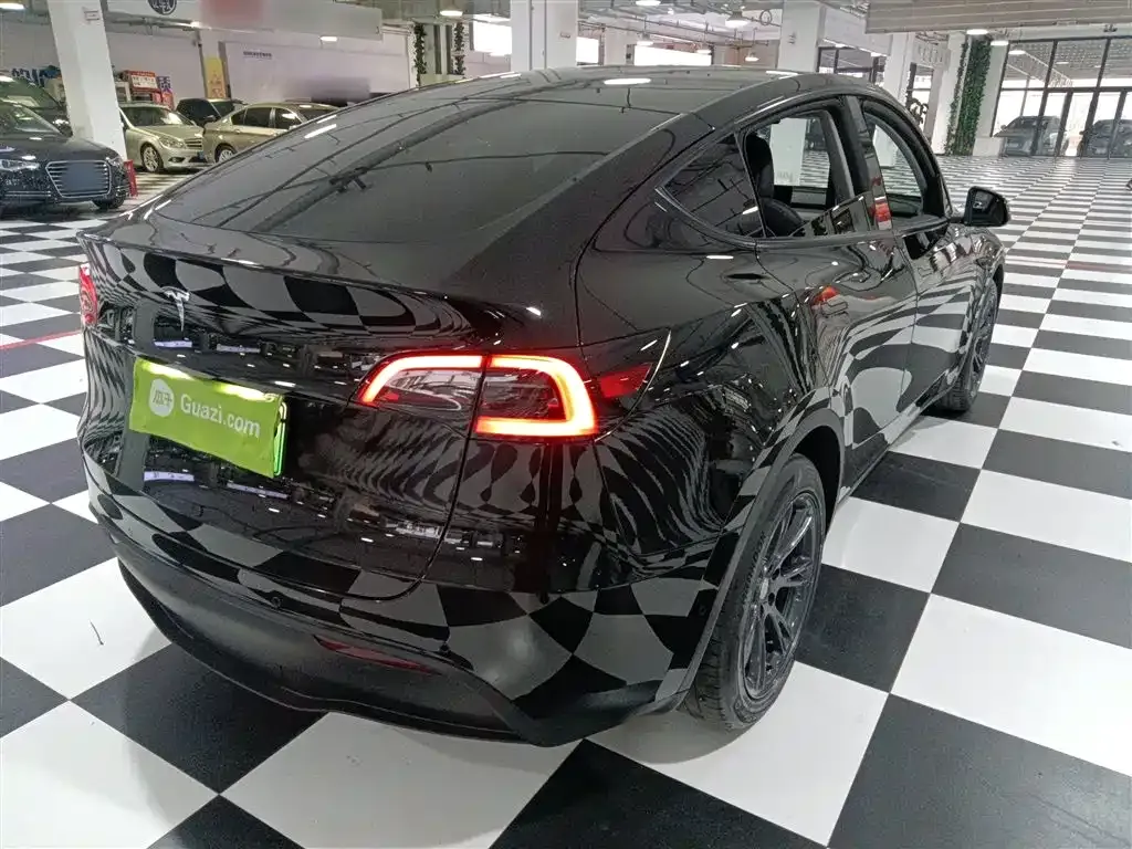 [object Object] Model Y 2021 из CN, фото 7