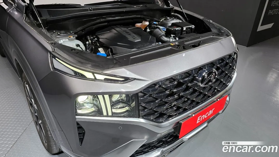 Hyundai Santafe 2021 из KR, фото 6