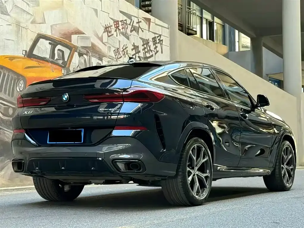 BMW X6 2023 из CN, фото 5