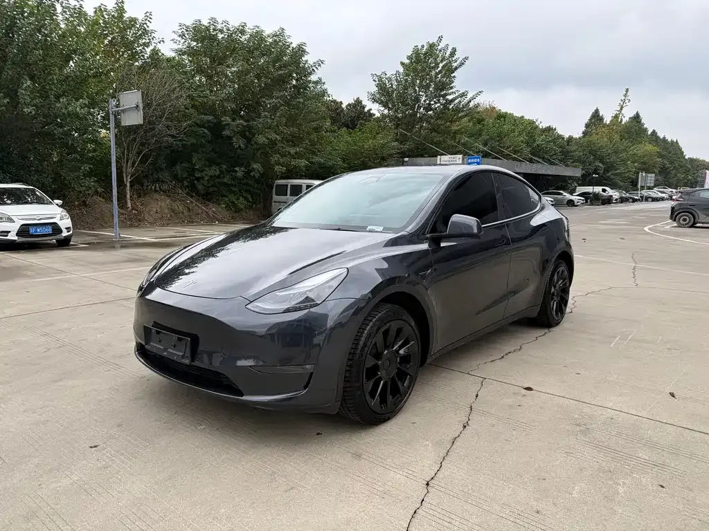Tesla Model Y 2024 из CN, фото 1