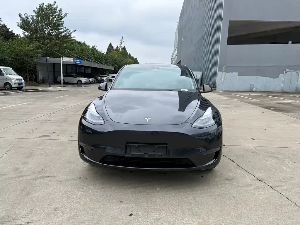Tesla Model Y 2024 из CN, фото 2