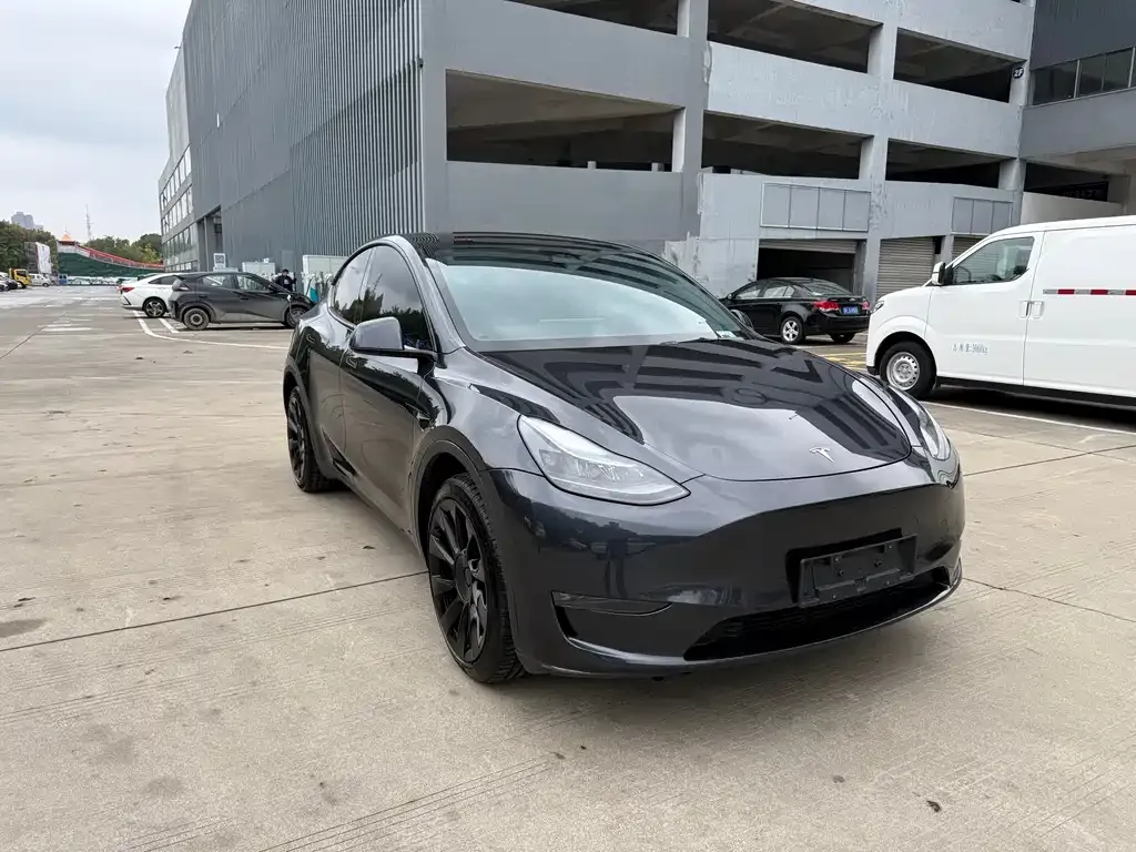 Tesla Model Y 2024 из CN, фото 3
