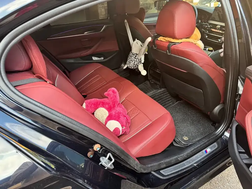 BMW 5 Series 2022 из CN, фото 5