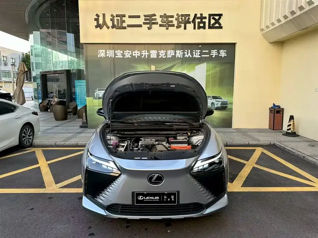 Lexus RZ 2023 из CN, фото 5