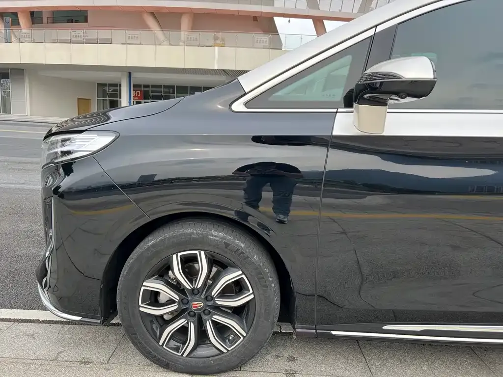 Hongqi HQ9 2023 из CN, фото 8