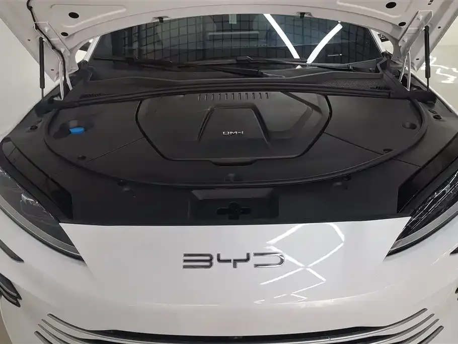 BYD PLUS New Energy — фото 10
