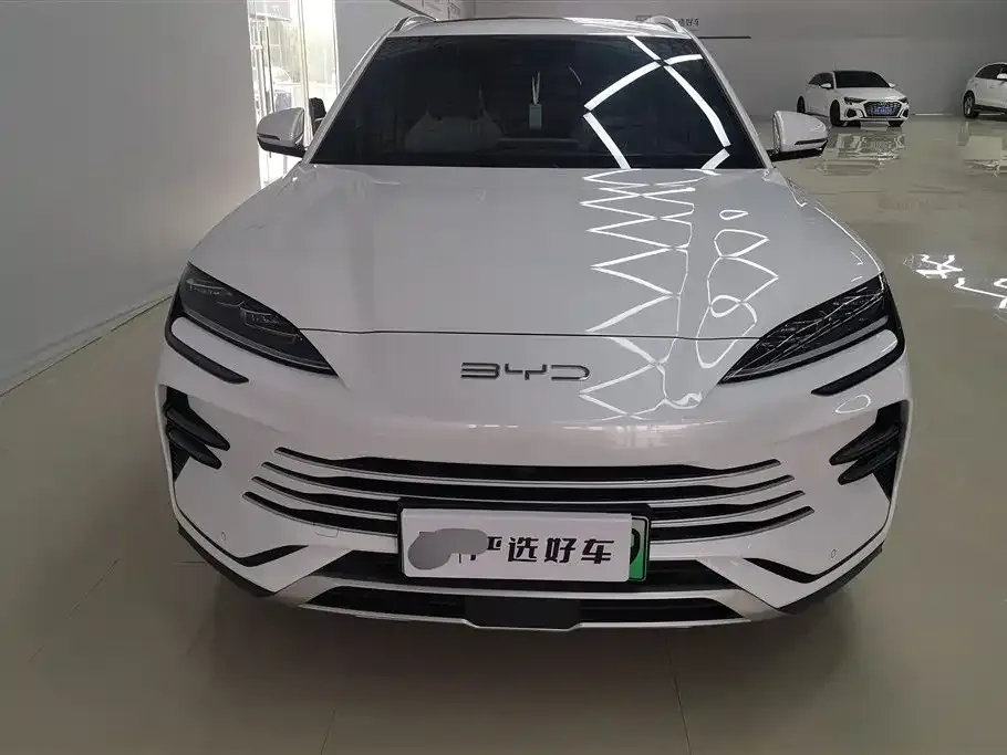BYD PLUS New Energy — фото 2