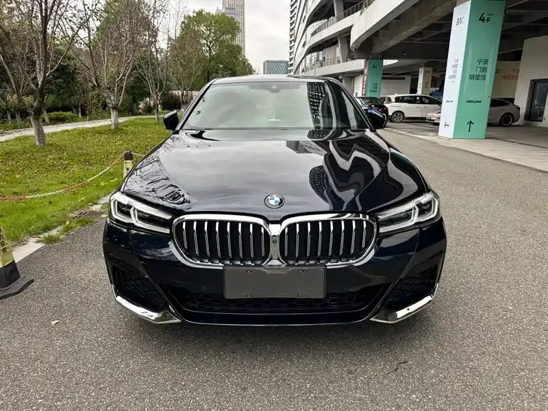 BMW 5 Series 2021 из CN, фото 2