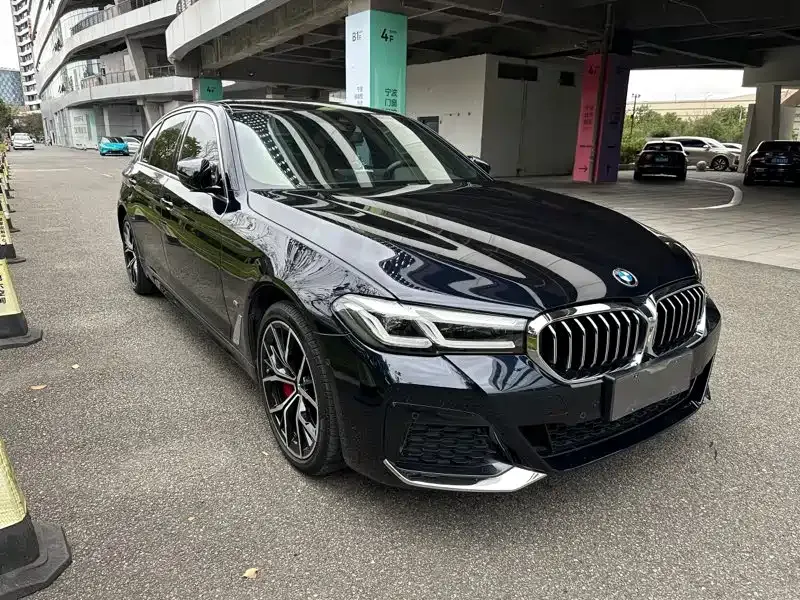 BMW 5 Series 2021 из CN, фото 3