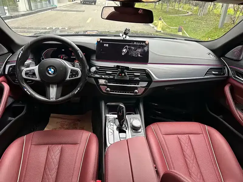 BMW 5 Series 2021 из CN, фото 4