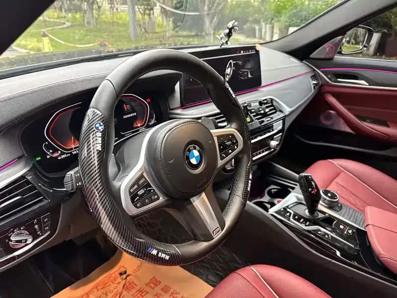 BMW 5 Series 2021 из CN, фото 5