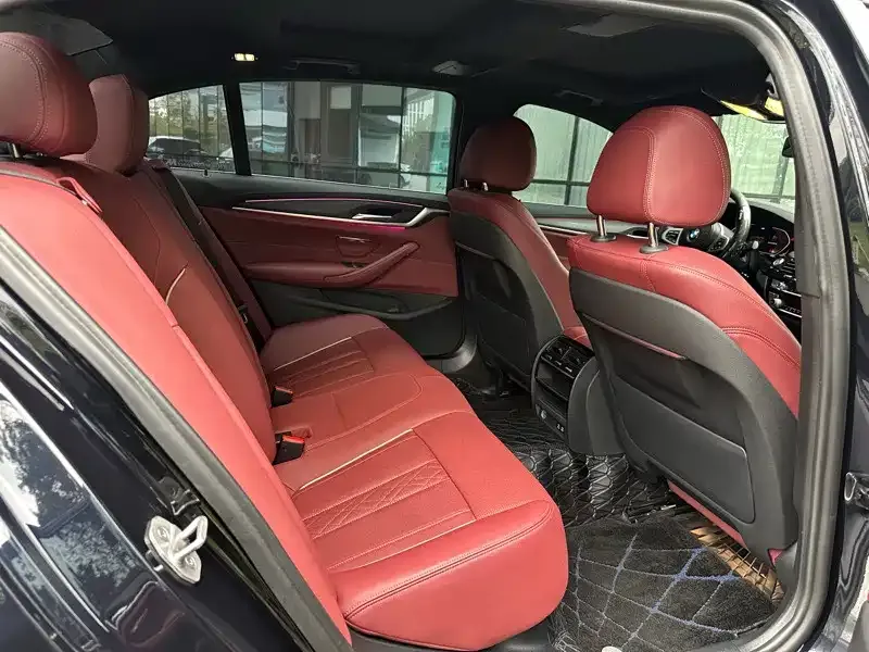 BMW 5 Series 2021 из CN, фото 8
