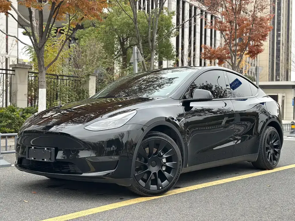 Tesla Model Y — фото 1