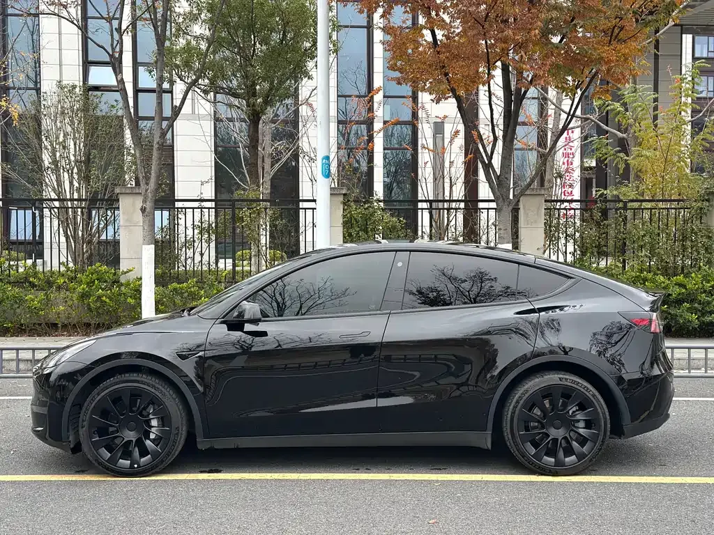 Tesla Model Y — фото 10